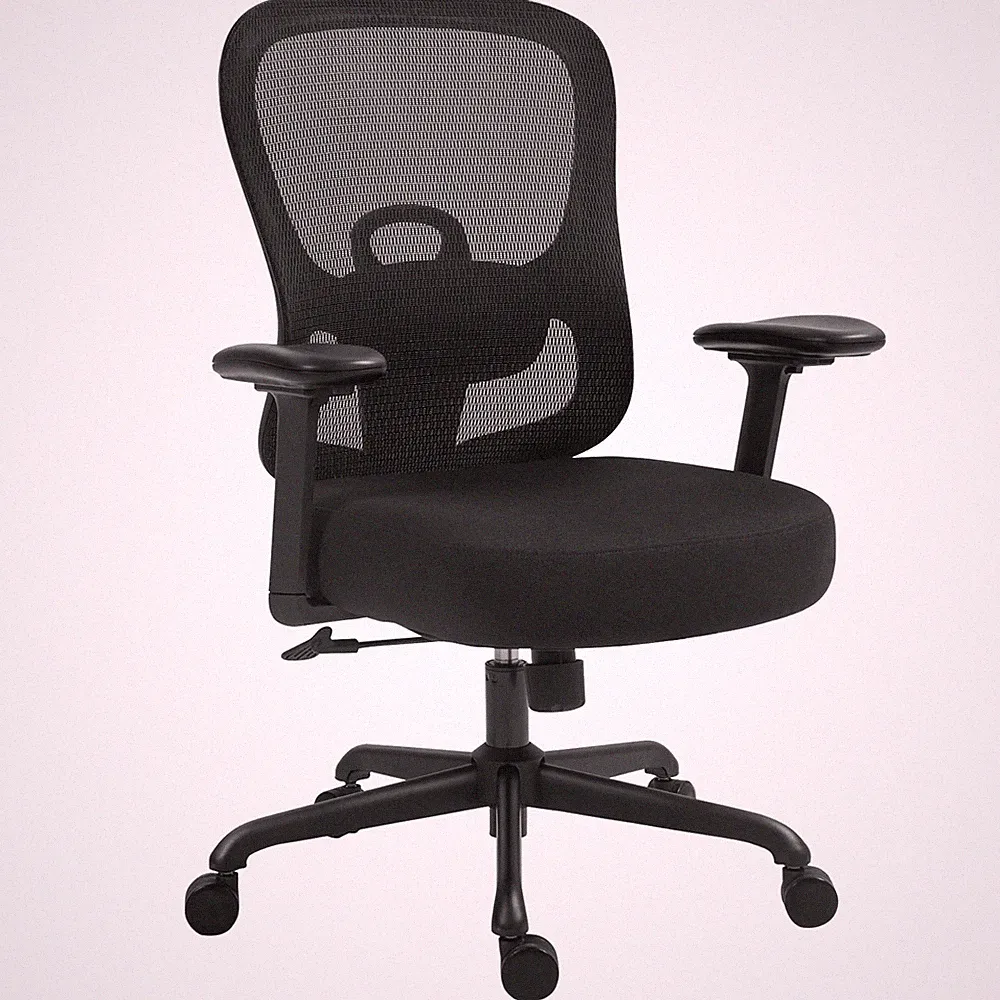 Ergonomic Office Chair,Home Desk Chair with Mesh Back,Adjustable Lumbar Suppo...